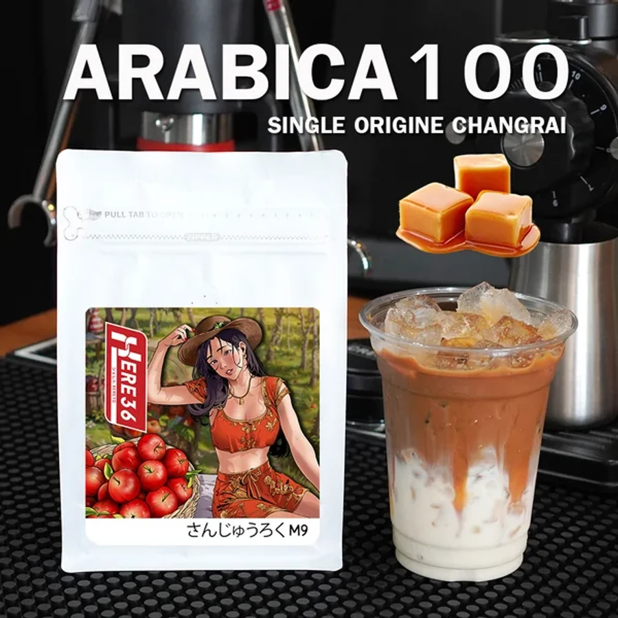 ถุงเมล็ดกาแฟ ARABICA 100 กับกาแฟเย็น